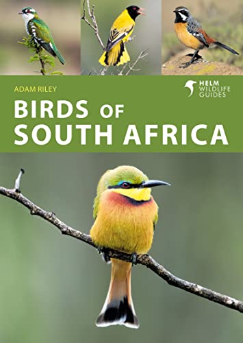 Birds of South Africa (Helm Wildlife Guides) von Helm