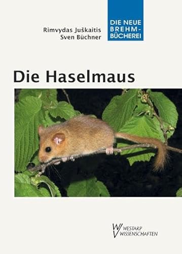 Die Haselmaus: Muscardinus avellanarius