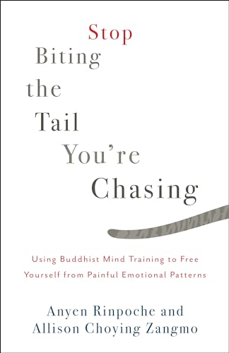 Stop Biting the Tail You're Chasing: Using Buddhist Mind Training to Free Yourself from Painful Emotional Patterns von Shambhala Publications