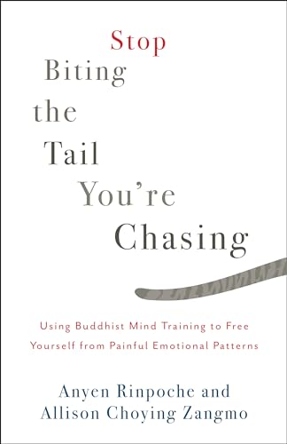 Stop Biting the Tail You're Chasing: Using Buddhist Mind Training to Free Yourself from Painful Emotional Patterns