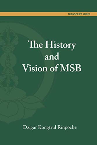 The History and Vision of MSB von Independently published