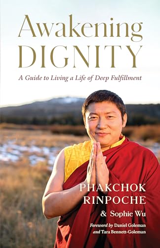 Awakening Dignity: A Guide to Living a Life of Deep Fulfillment von Shambhala