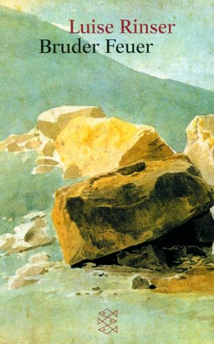 Bruder Feuer: Roman von FISCHERVERLAGE