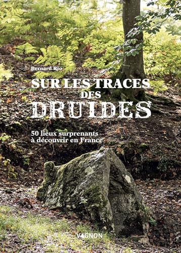 Sur la trace des druides: 50 lieux surprenants à découvrir en France von VAGNON