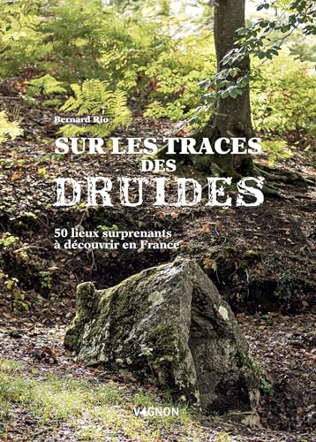 Sur la trace des druides: 50 lieux surprenants à découvrir en France