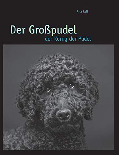 Der Großpudel: der König der Pudel