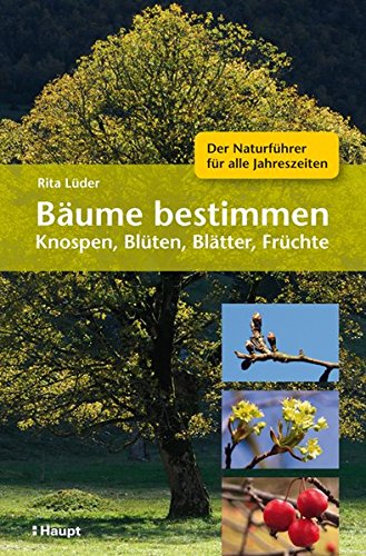 Bäume bestimmen - Knospen, Blüten, Blätter, Früchte: Der Naturführer für alle Jahreszeiten von Haupt