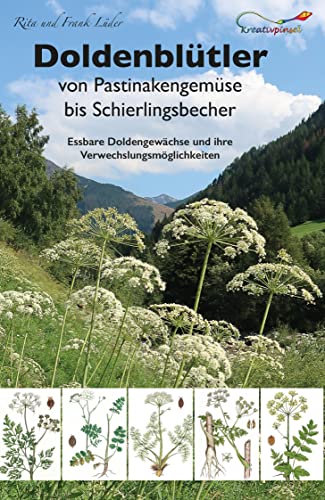 Doldenblütler von Pastinakengemüse bis Schierlingsbecher: Essbare Doldengewächse und ihre Verwechslungsmöglichkeiten