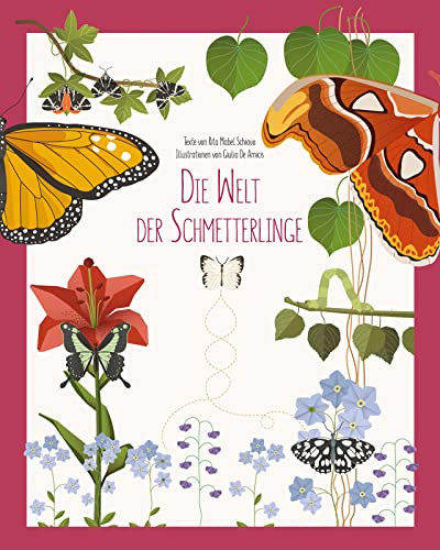 Die Welt der Schmetterlinge von White Star Verlag