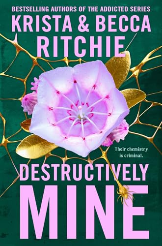 Destructively Mine: A deliciously angsty small town romance from TikTok sensations and authors of the Addicted series (Webs We Weave, 2) von Pan