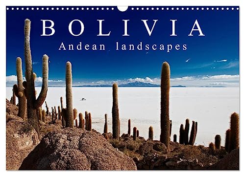 Bolivia Andean landscapes / UK-Version (Wall Calendar 2025 DIN A3 landscape), CALVENDO 12 Month Wall Calendar: Photos of fascinating landscapes in the Andes of South America's country Bolivia von Calvendo