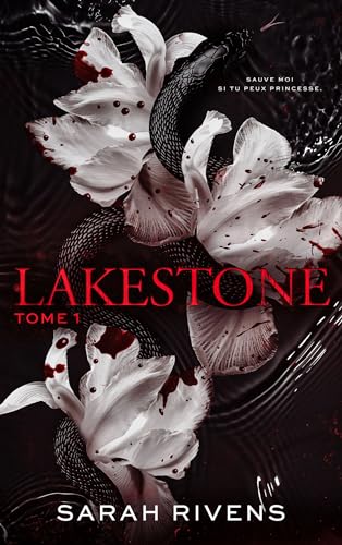 Lakestone - Tome 1: Roman von Hachette