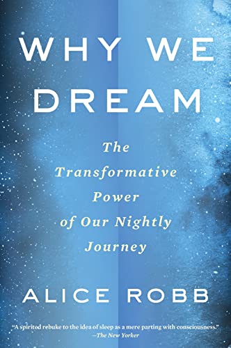 Why We Dream: The Transformative Power of Our Nightly Journey von Mariner