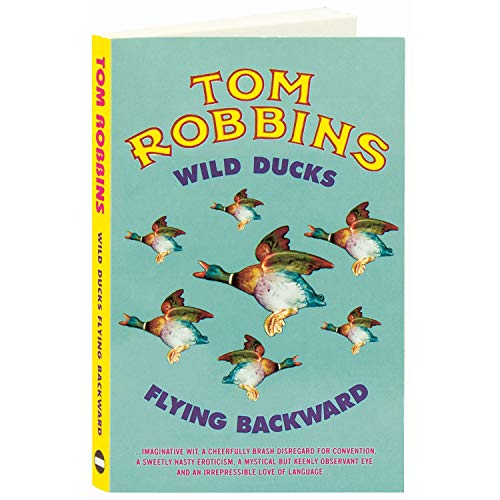 Wild Ducks Flying Backward