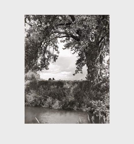 Cottonwoods: Cottonwoods: Photographs, and a Conversation About Picture-making in the American West von Steidl