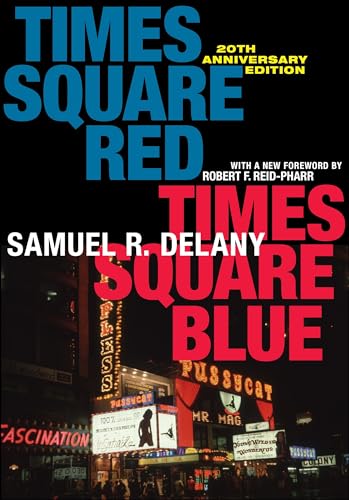 Times Square Red, Times Square Blue (Sexual Cultures) von New York University Press