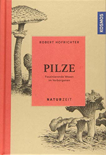 Naturzeit Pilze: Faszinierende Wesen im Verborgenen