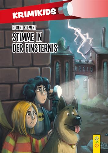 KrimiKids - Stimme in der Finsternis (KrimiKids: Lesemotivation mit einem jungen österreichischen AutorInnenteam)