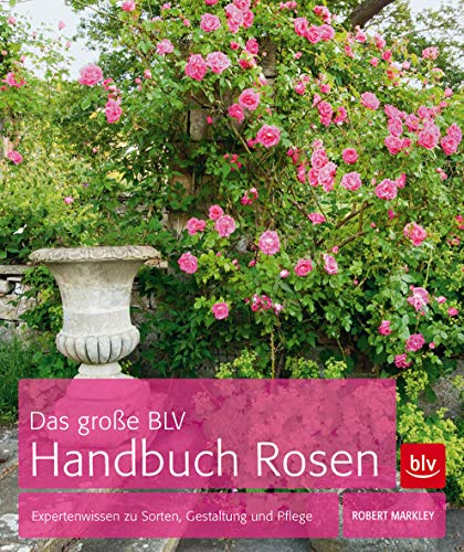 Das große BLV Handbuch Rosen: Expertenwissen zu Sorten, Gestaltung und Pflege (BLV Pflanzenpraxis)