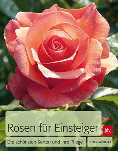Rosen für Einsteiger: Die schönsten Sorten und ihre Pflege (BLV Pflanzenpraxis)