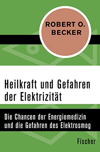 Heilkraft und Gefahren der Elektrizität: Die Chancen der Energiemedizin und die Gefahren des Elektrosmogs