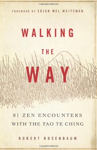 Walking the Way: 81 Zen Encounters with the Tao Te Ching von Wisdom Publications