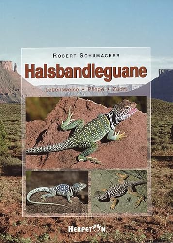 Halsbandleguane: Lebensweise, Pflege, Zucht von Herpeton Verlag