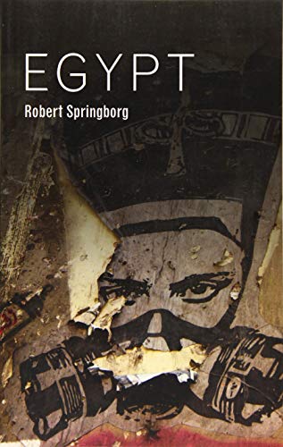 Egypt (Hot Spots in Global Politics) von Polity