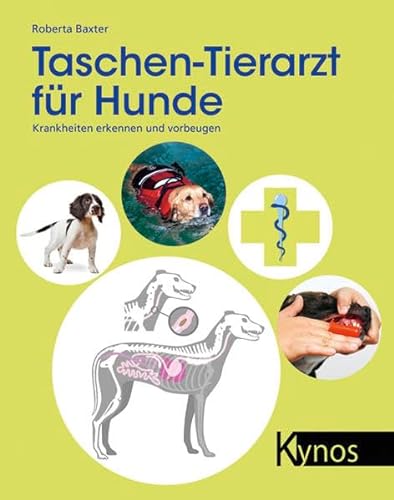 Taschen-Tierarzt für Hunde: Krankheiten erkennen und vorbeugen