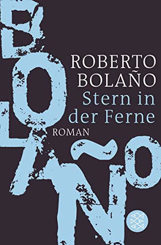 Stern in der Ferne: Roman