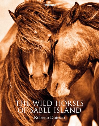 The Wild Horses of Sable Island: Text engl.-dtsch.-französ.-chines. (Photographer)