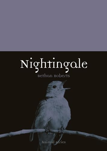 Nightingale (Animal)