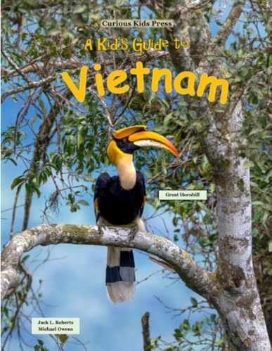 A Kid's Guide to Vietnam von Independently published