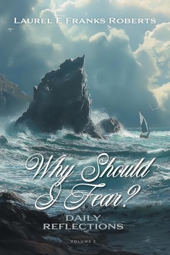 Why Should I Fear? Volume 2: Daily Reflections von FriesenPress
