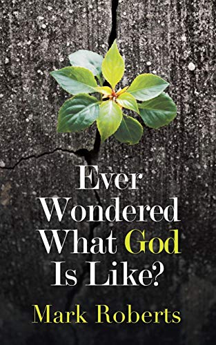 Ever Wondered What God Is Like? von Partridge Publishing Singapore