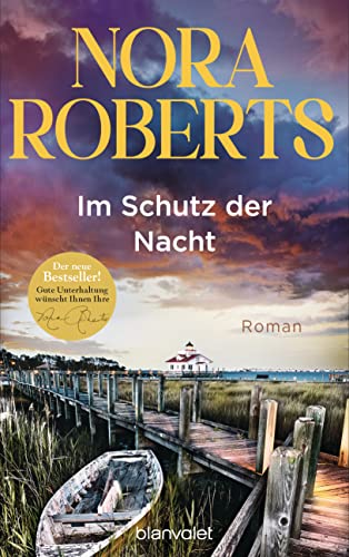 Im Schutz der Nacht: Roman