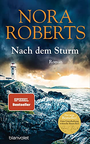 Nach dem Sturm: Roman