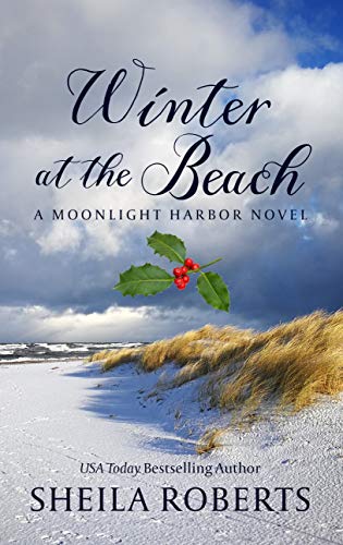 Winter at the Beach (Thorndike Press Large Print Romance)