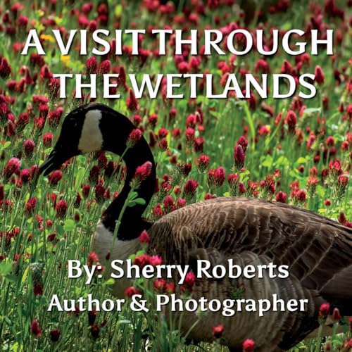 A Visit Through the Wetlands von Pen It Publications