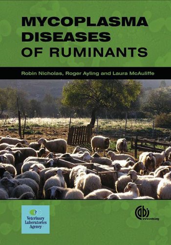 Mycoplasma Diseases of Ruminants: Disease, Diagnosis and Control von CAB INTL