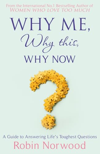 Why Me, Why This, Why Now?: A Guide to Answering Life's Toughest Questions von Arrow