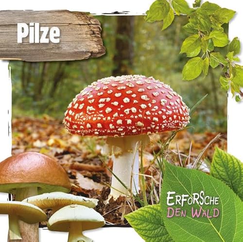 Pilze: Erforsche den Wald von Ars Scribendi Verlag