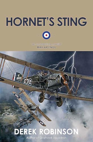 Hornet's Sting von Quercus Publishing