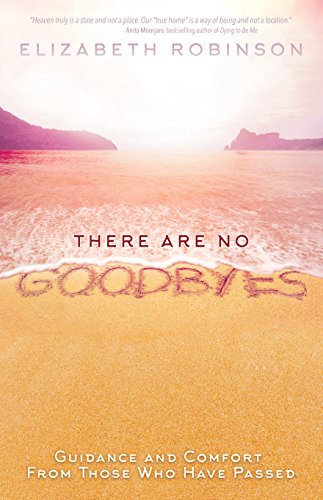 There Are No Goodbyes: Guidance and Comfort From Those Who Have Passed von Hay House Uk