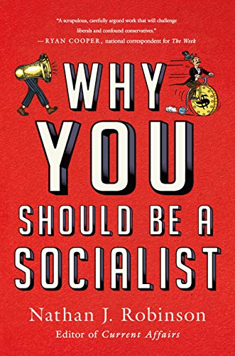 Why You Should Be a Socialist von St. Martin's Griffin