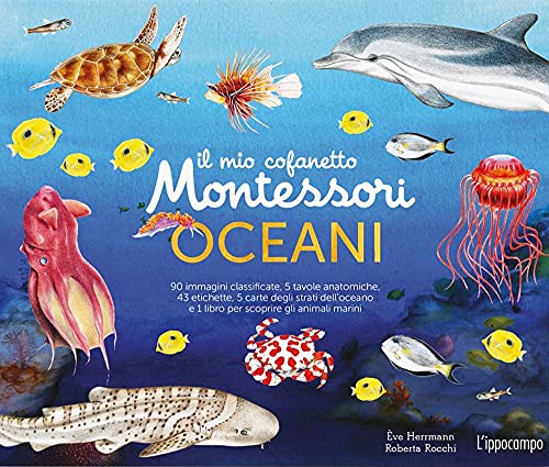 Il mio cofanetto Montessori degli oceani. Ediz. a colori. Con 90 carte degli animali. Con 5 carte degli strati dell’oceano. Con 43 etichette. Con 5 tavole anatomiche