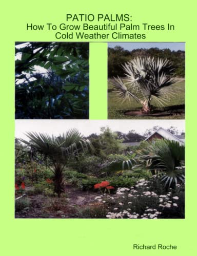PATIO PALMS: How To Grow Beautiful Palm Trees In Cold Weather Climates