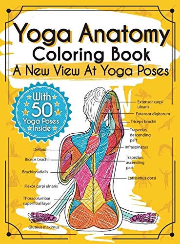Yoga Anatomy Coloring Book: A New View At Yoga Poses von Elizabeth J. Rochester