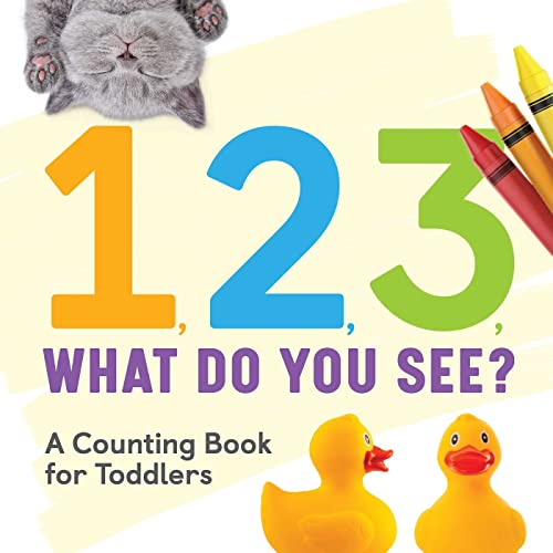 1, 2, 3, What Do You See?: A Counting Book for Toddlers von Rockridge Press