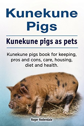 Kunekune pigs. Kunekune pigs as pets. Kunekune pigs book for keeping, pros and cons, care, housing, diet and health. von Zoodoo Publishing Kunekune Pigs